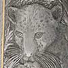 [Custom Engraved Rifle Floorplates] 